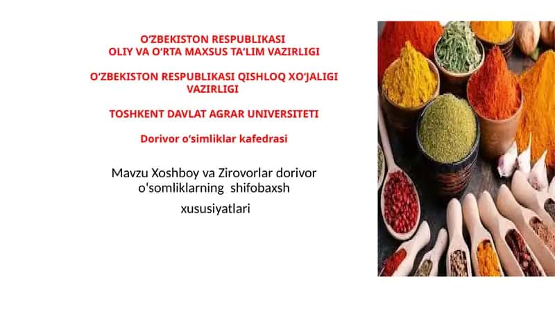 Ziravorlarning shifobaxshlik xususiyatlari 1