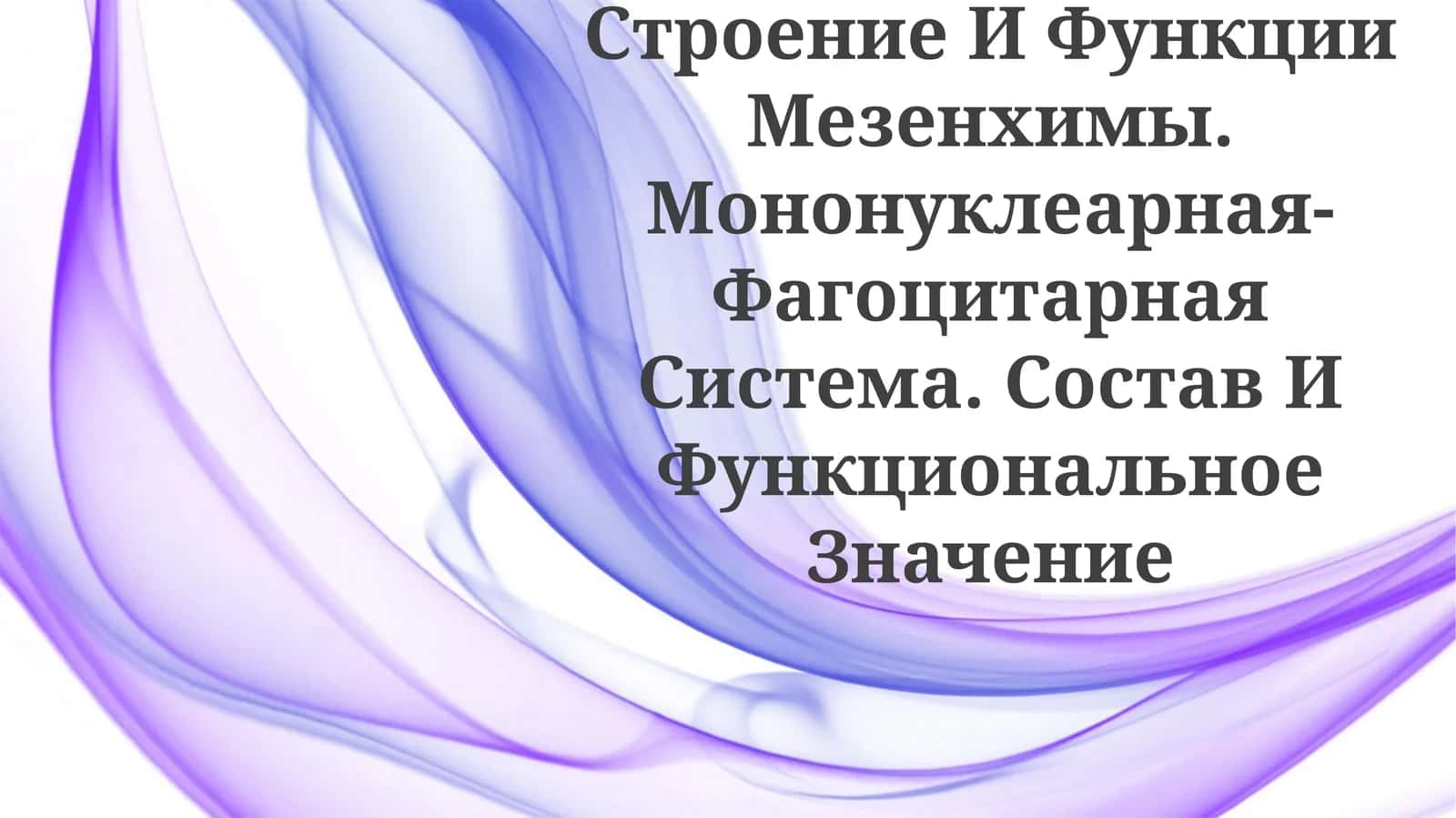 Строение И Функции Мезенхимы. Мононуклеарная-Фагоцитарная Система. Состав ИФункциональноеЗначение 1