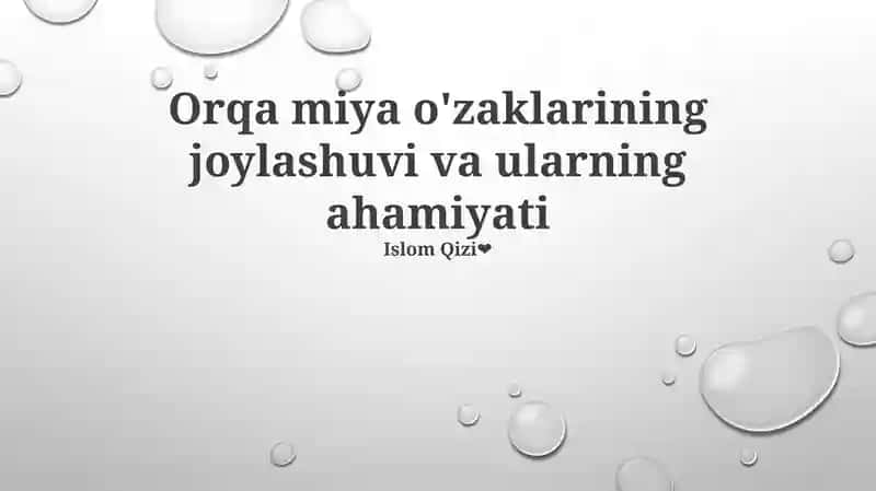 Orqa miya o'zaklarining ahamiyati 1