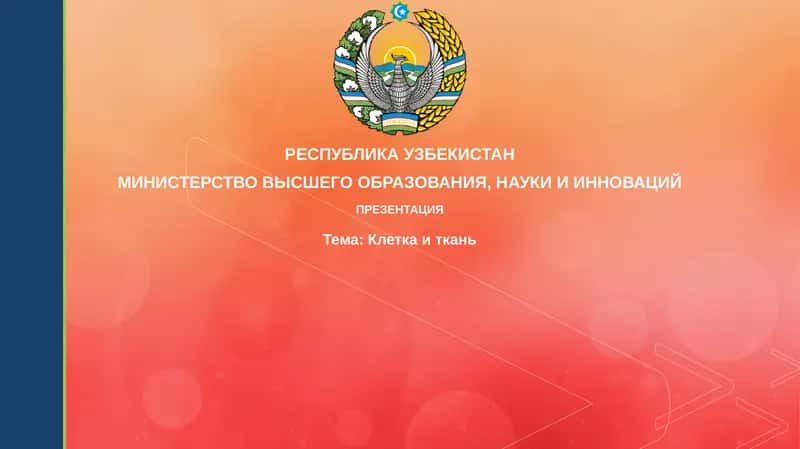 Клеткаиткань 1