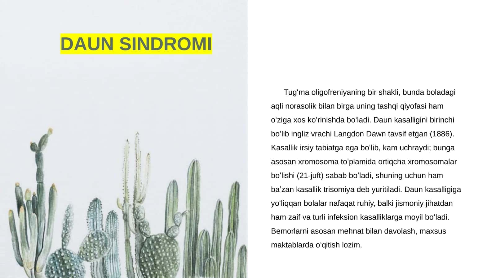 DAUN SINDROMI 1