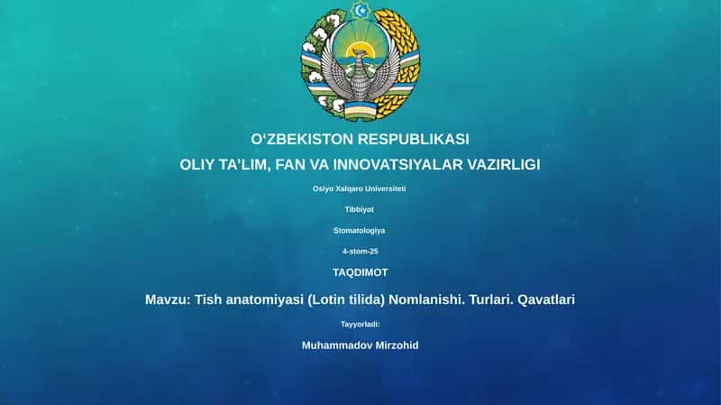 Tish anatomiyasi (Lotin tilida) Nomlanishi. Turlari. Qavatlari 1