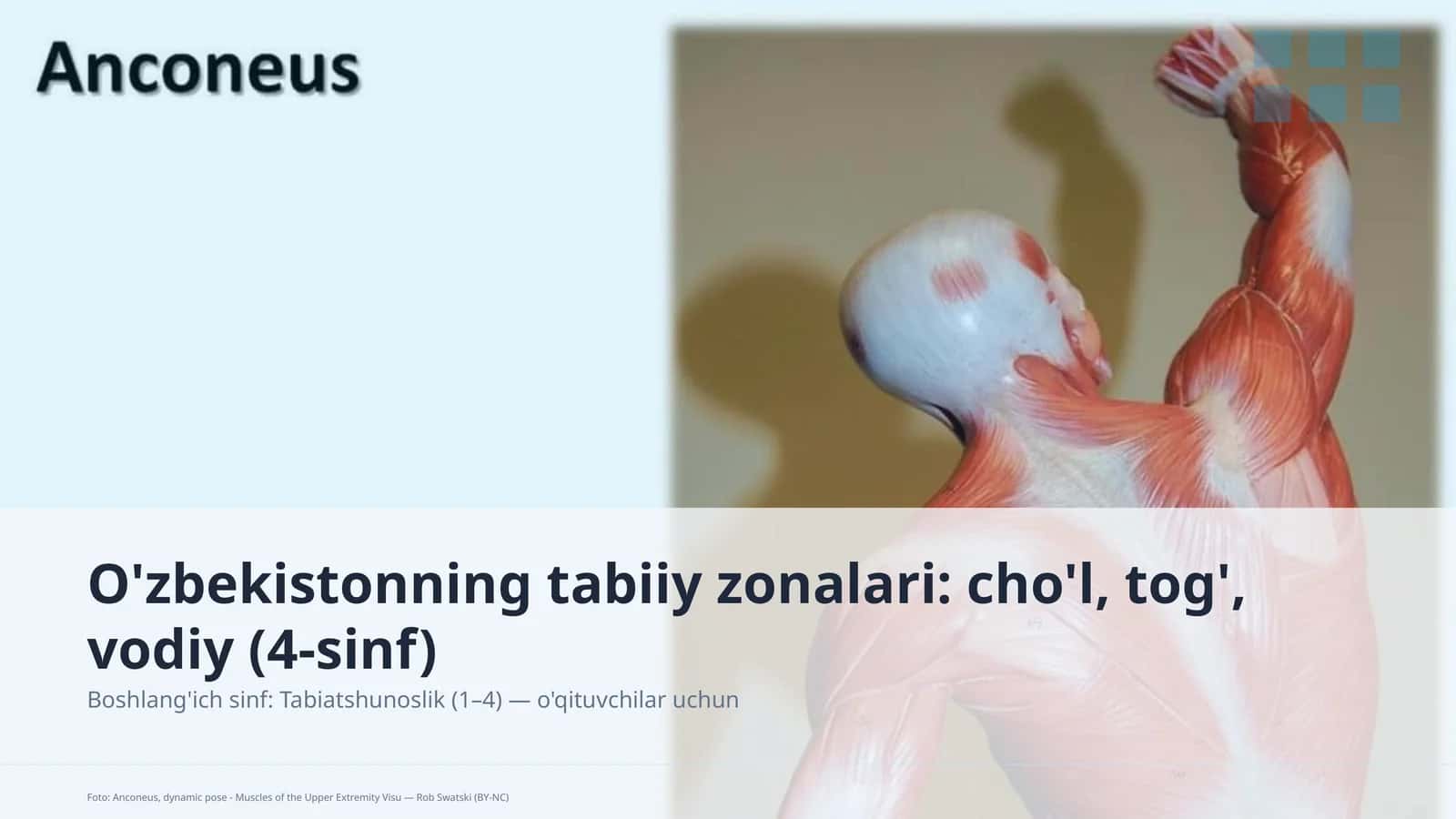 O'zbekistonning tabiiy zonalari: cho'l, tog', vodiy (4-sinf) 1