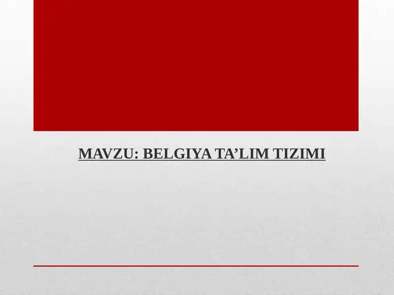 BELGIYA TA’LIM TIZIMI 1