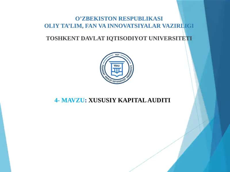 Xususiykapital Audit 1