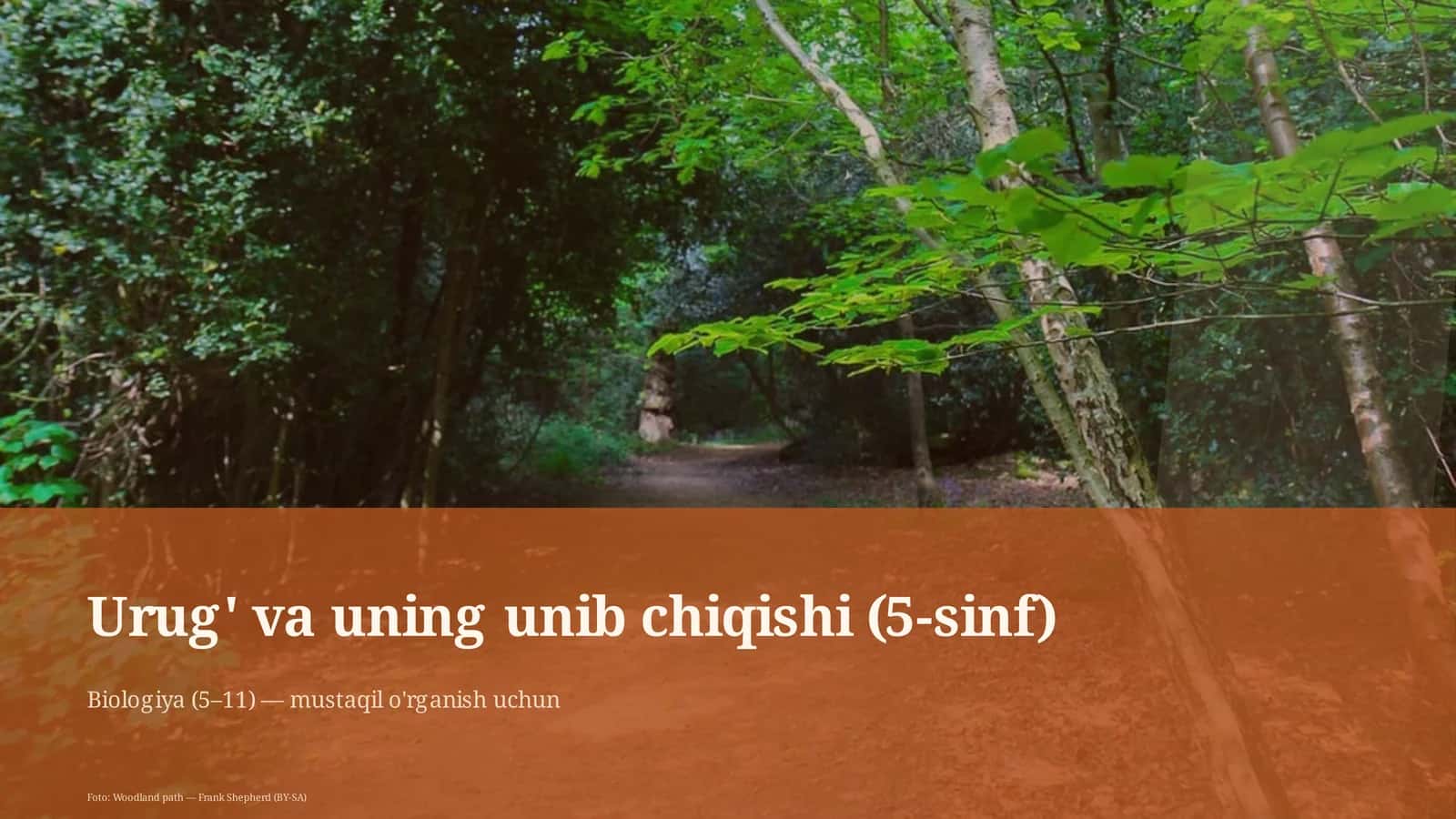 Urug' va uning unib chiqishi (5-sinf) 1