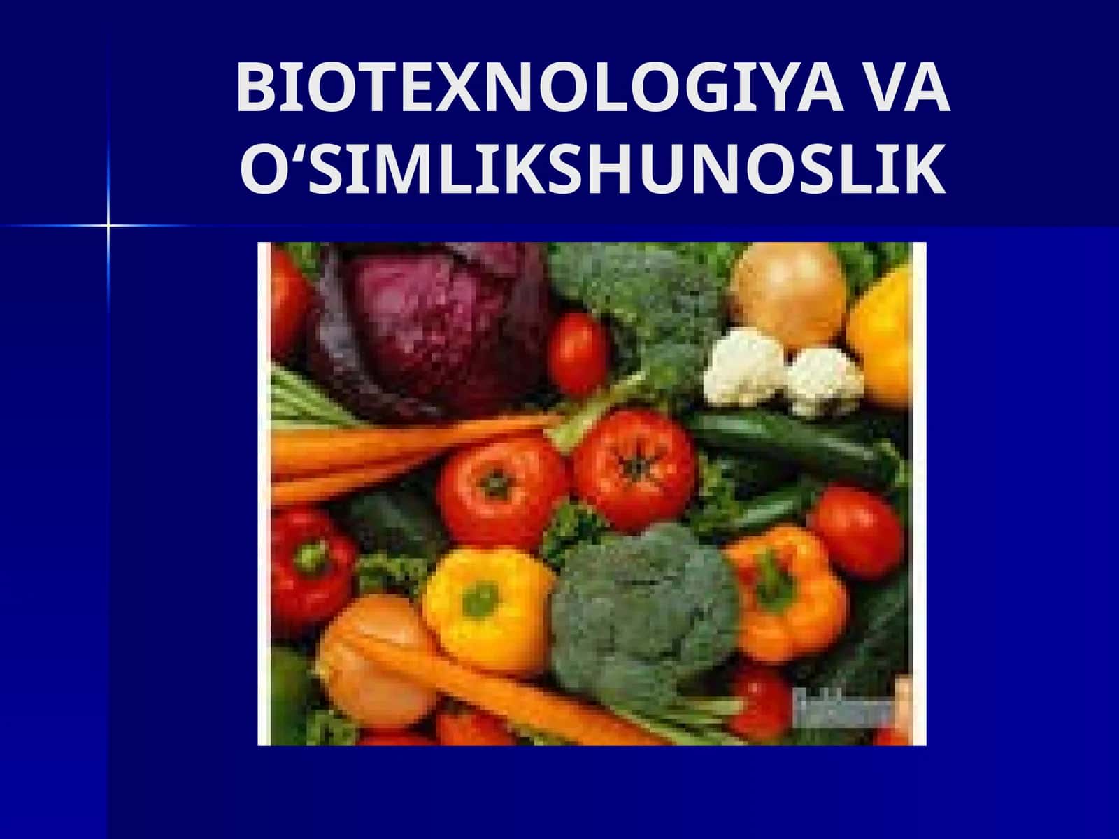 BIOTEXNOLOGIYA VA O‘SIMLIKSHUNOSLIK 1