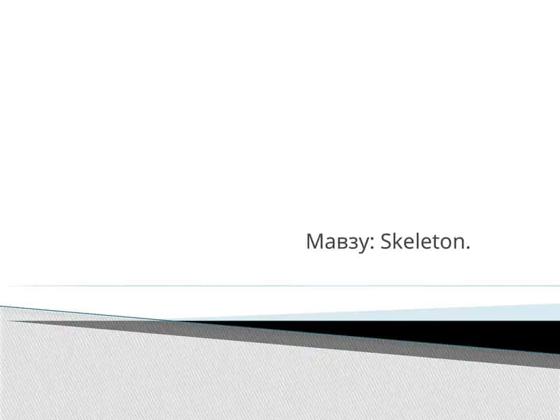 Skeleton 1