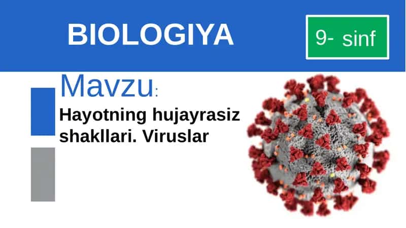 Viruslar 1
