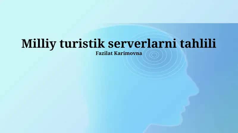 Milliy Turizm Serverlarini Tahlil Qilish 1