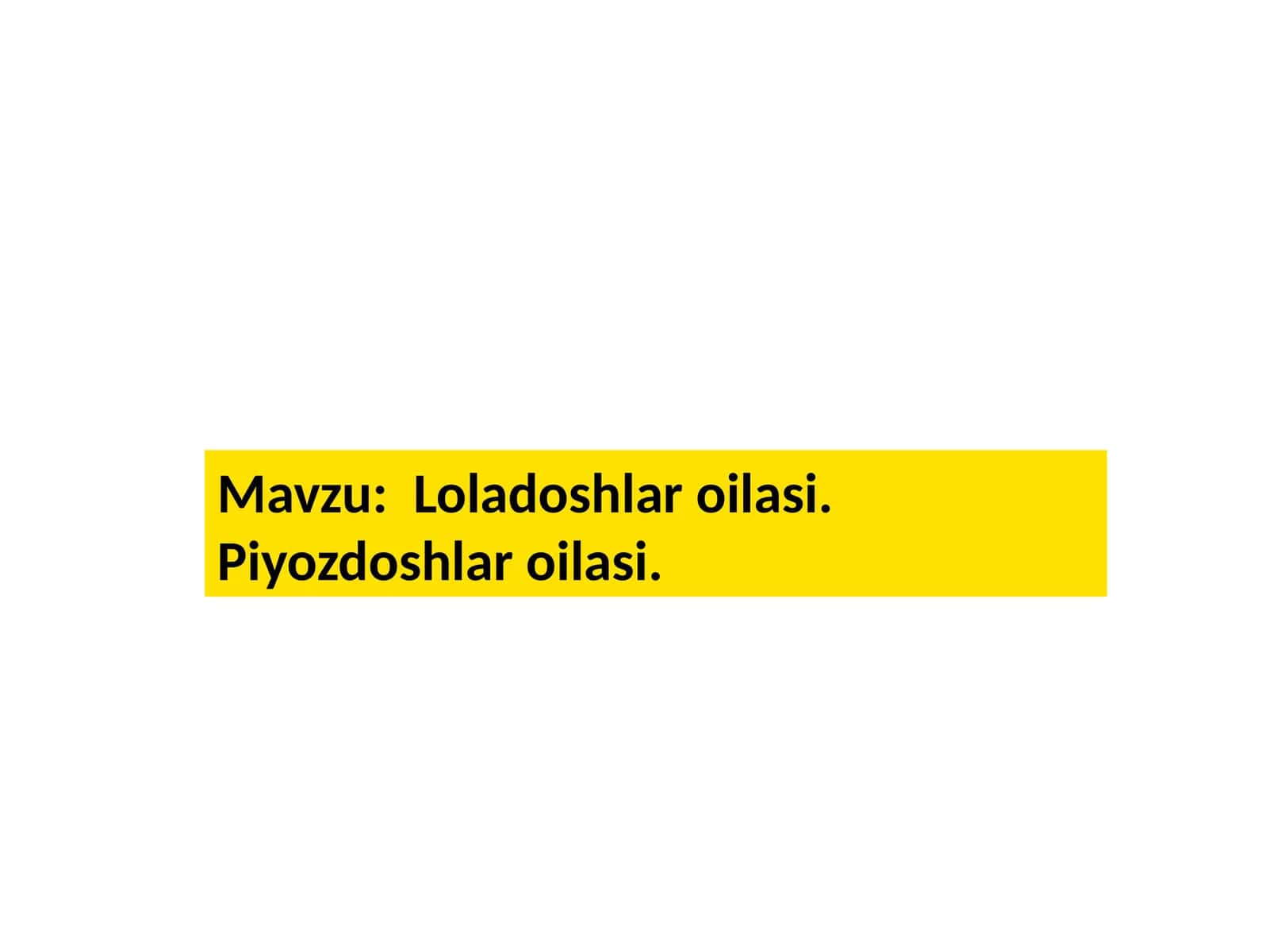 Loladoshlar oilasi. Piyozdoshlar oilasi. 1