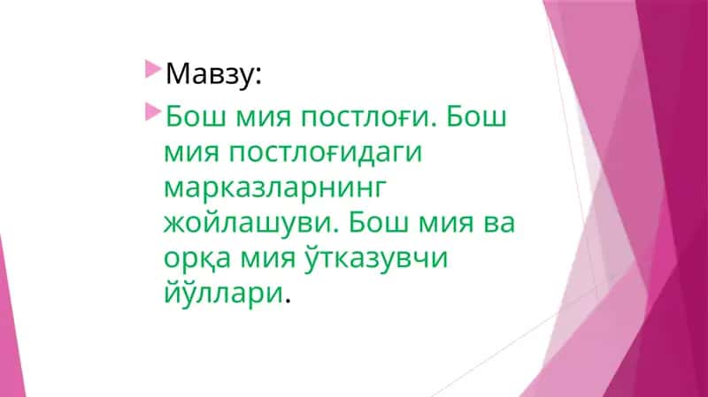 Бош мия постлоғи. Бош мия постлоғидаги марказларнинг жойлашуви. Бош мия ва орқа мия ўтказувчи йўллари 1