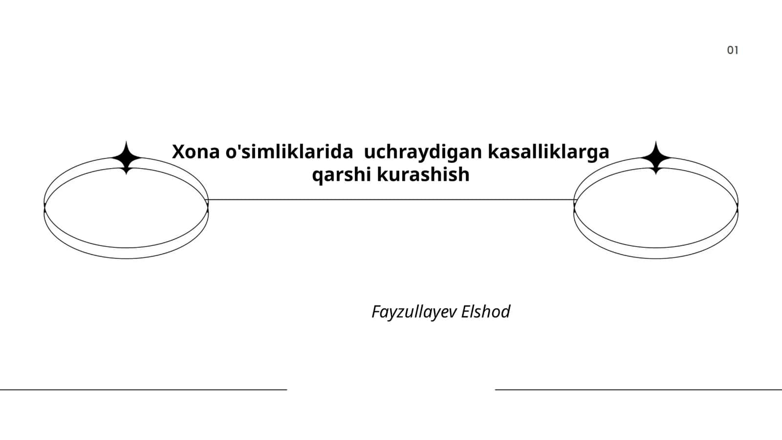 Zamburug'larga qarshi kurash 1