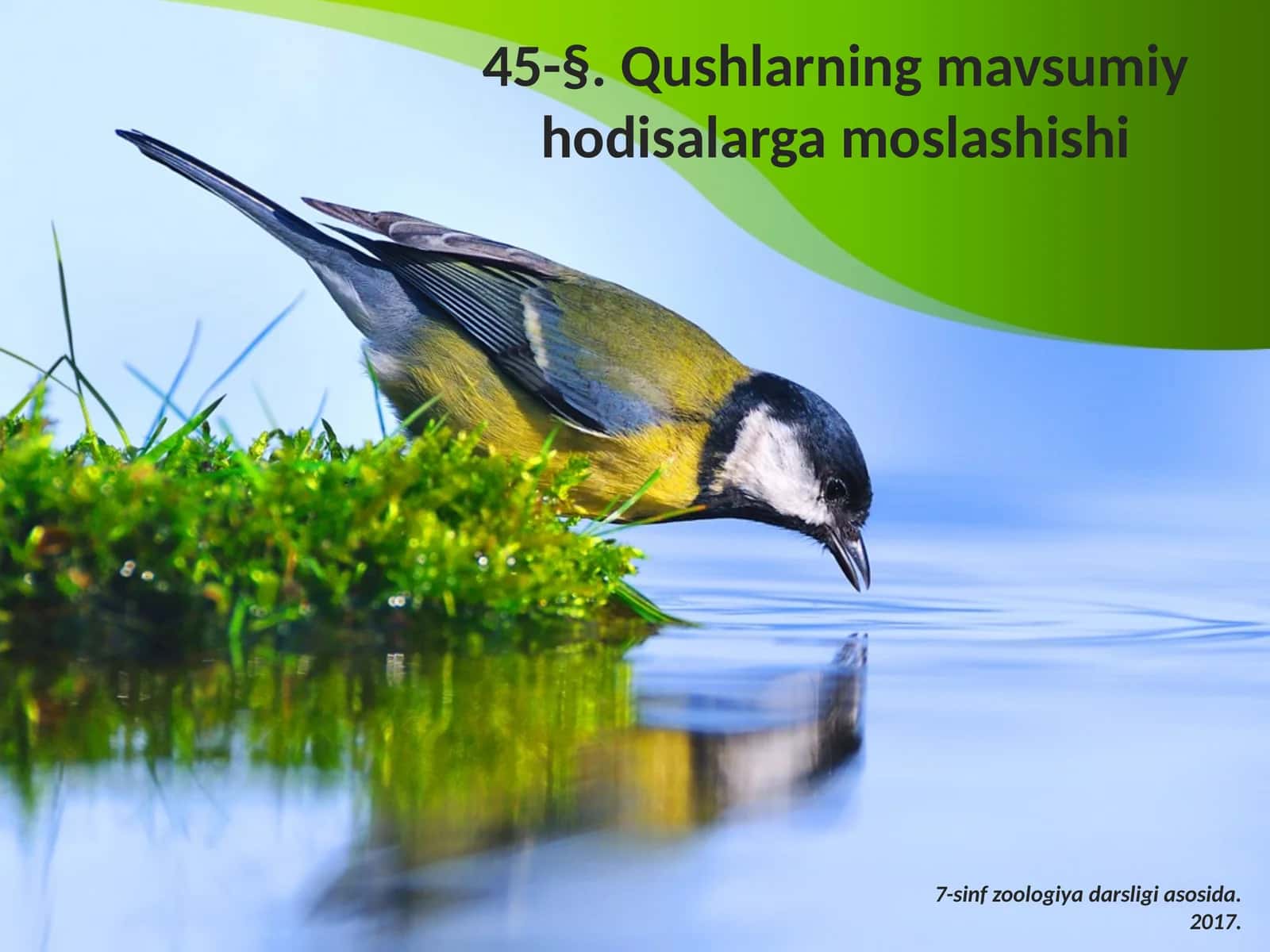 7-sinf Zoologiya 'Qushlarning mavsumiy hodisalarga moslashishi' ko'rgazma 1