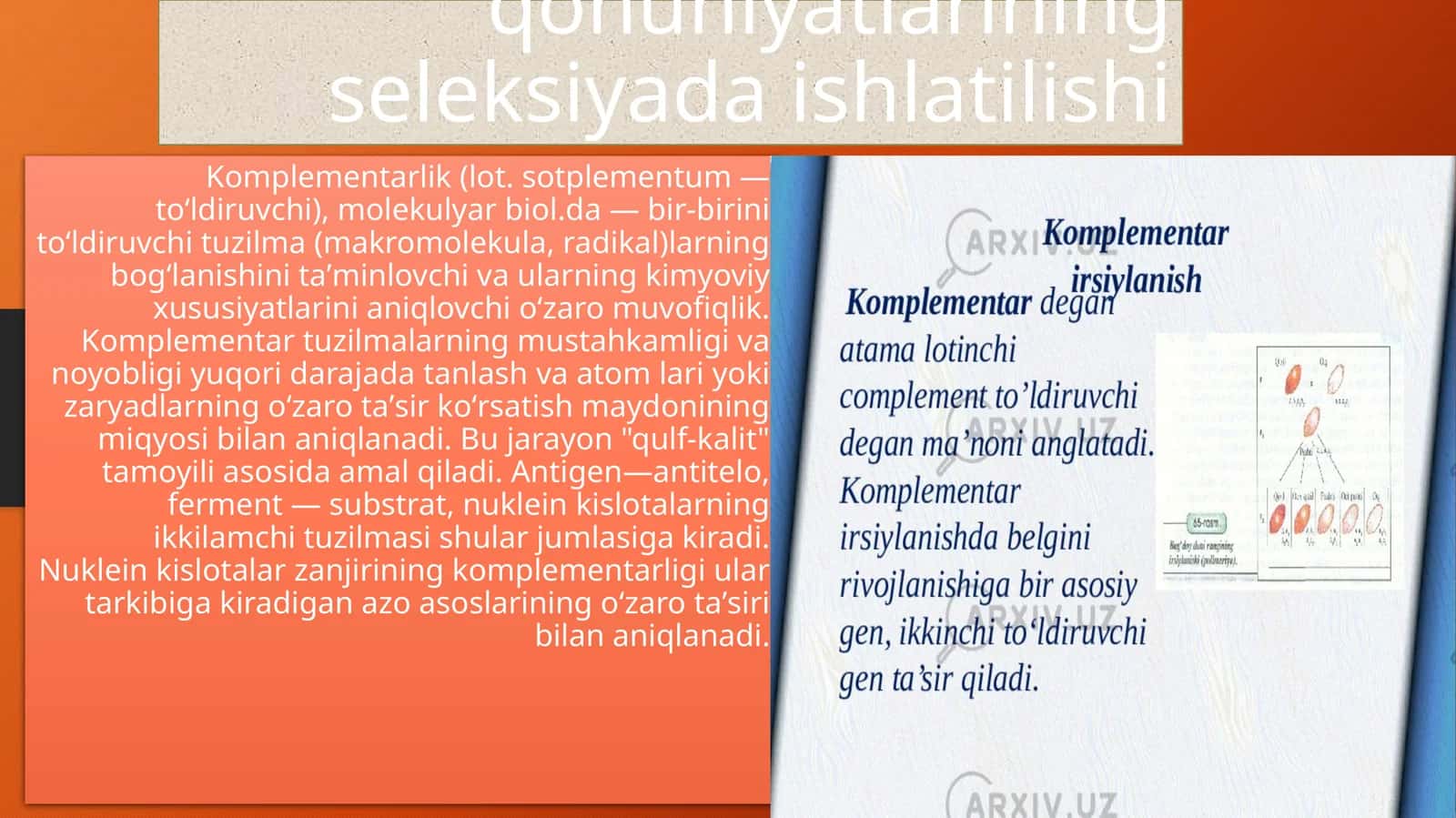 Komplementarlik va epistaz ta'sir qonuniyatlarining seleksiyada ishlatilishi 1