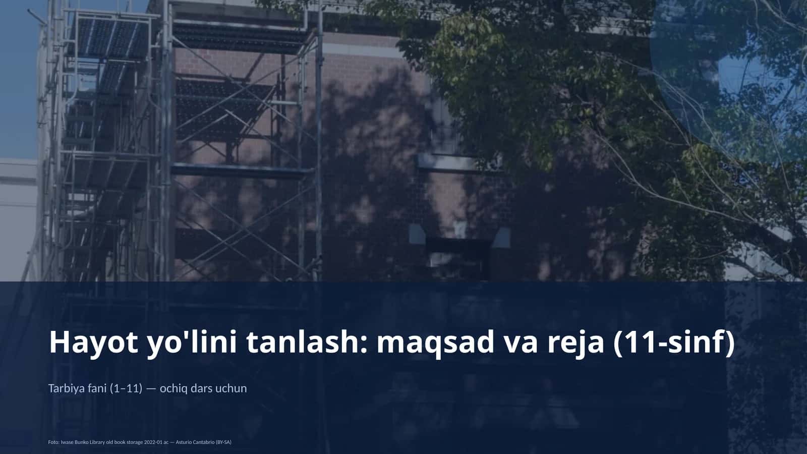 Hayot yo'lini tanlash: maqsad va reja (11-sinf) 1
