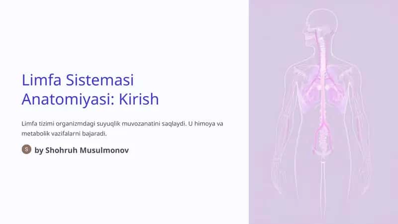Limfa Sistemasi Anatomiyasi 1