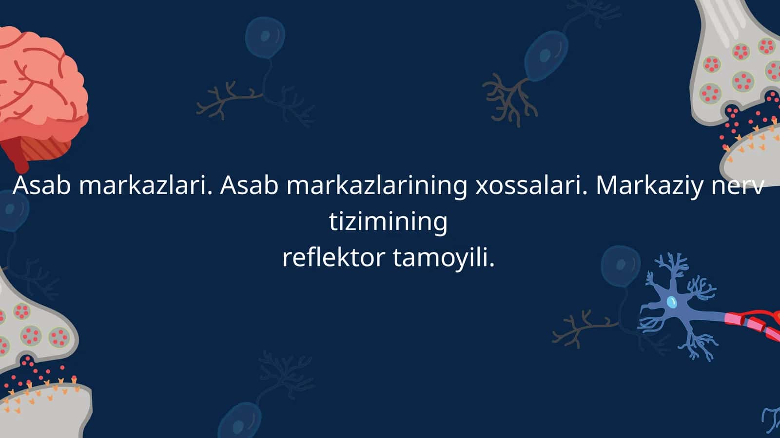 Asab markazlari. Asab markazlarining xossalari. Markaziy nerv tizimining
reflektor tamoyili. 1