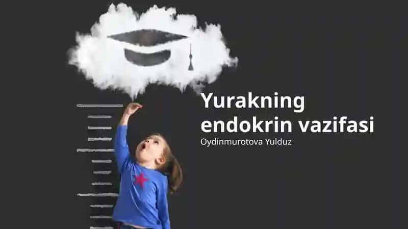 Yurakning endokrin vazifasi