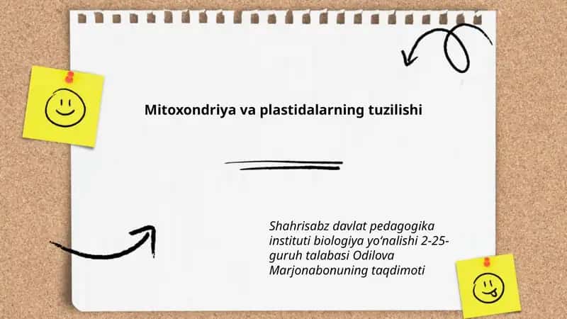 Mitoxondriya va plastidalarning tuzilishi 1