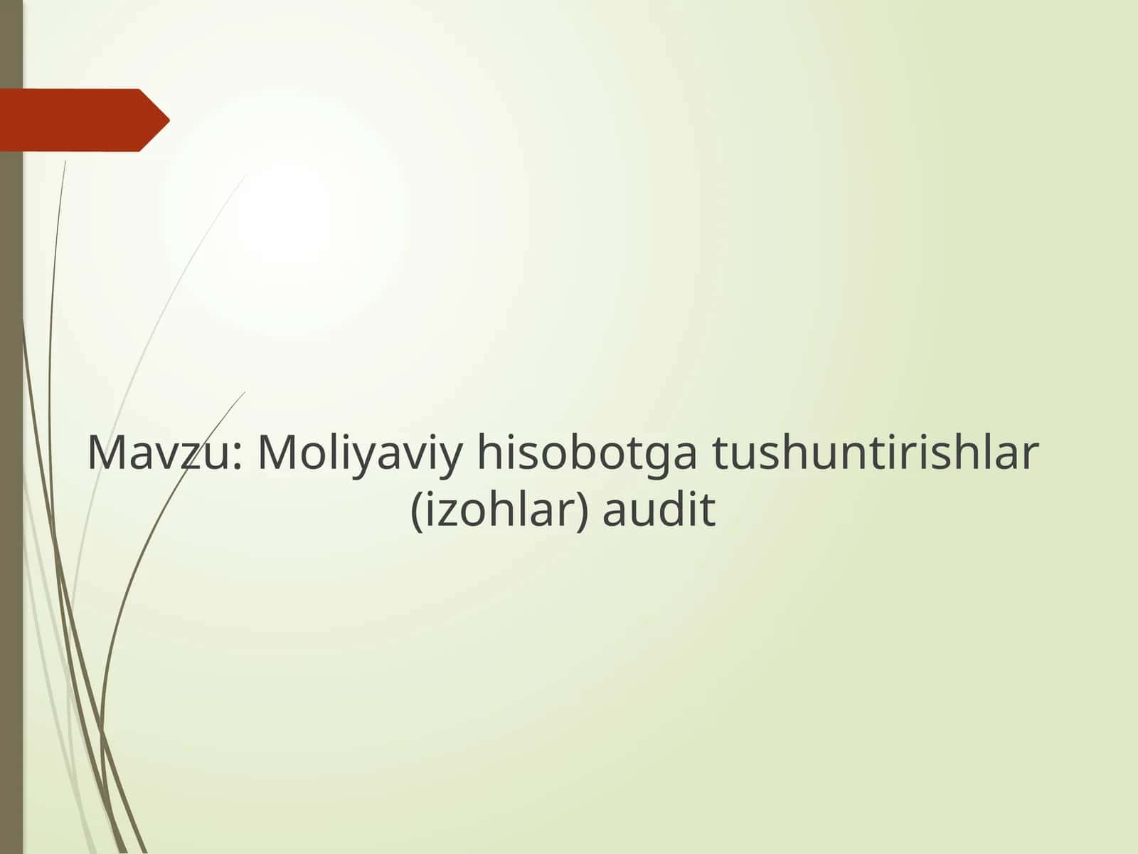 Moliyaviy hisobotga tushuntirishlar(izohlar) audit 1
