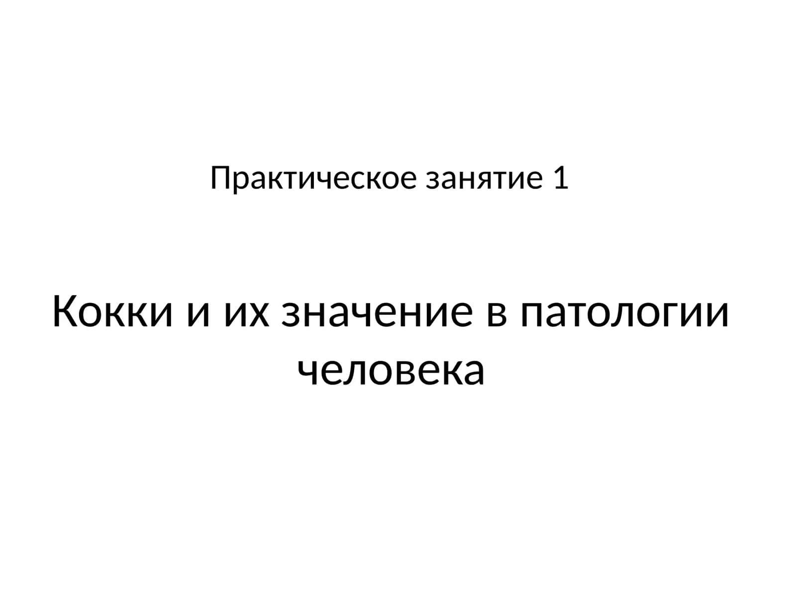 Кокки и их значение в патологии человека 1