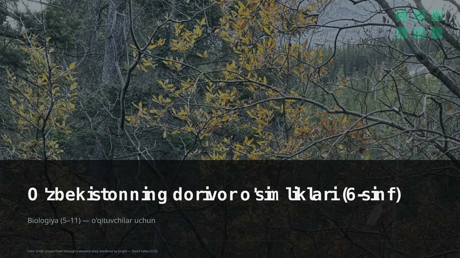 O'zbekistonning dorivor o'simliklari (6-sinf) 1