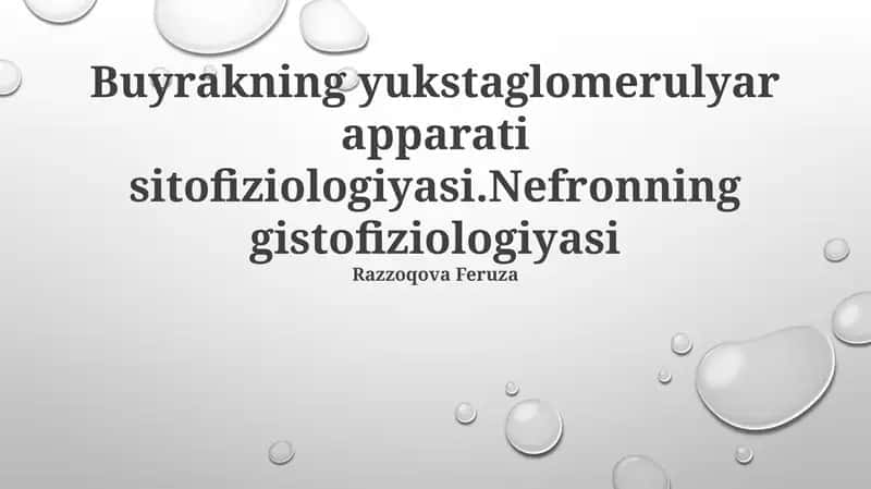 Buyrakning yukstaglomerulyar apparati sitofiziologiyasi.Nefronning gistofiziologiyasi 1