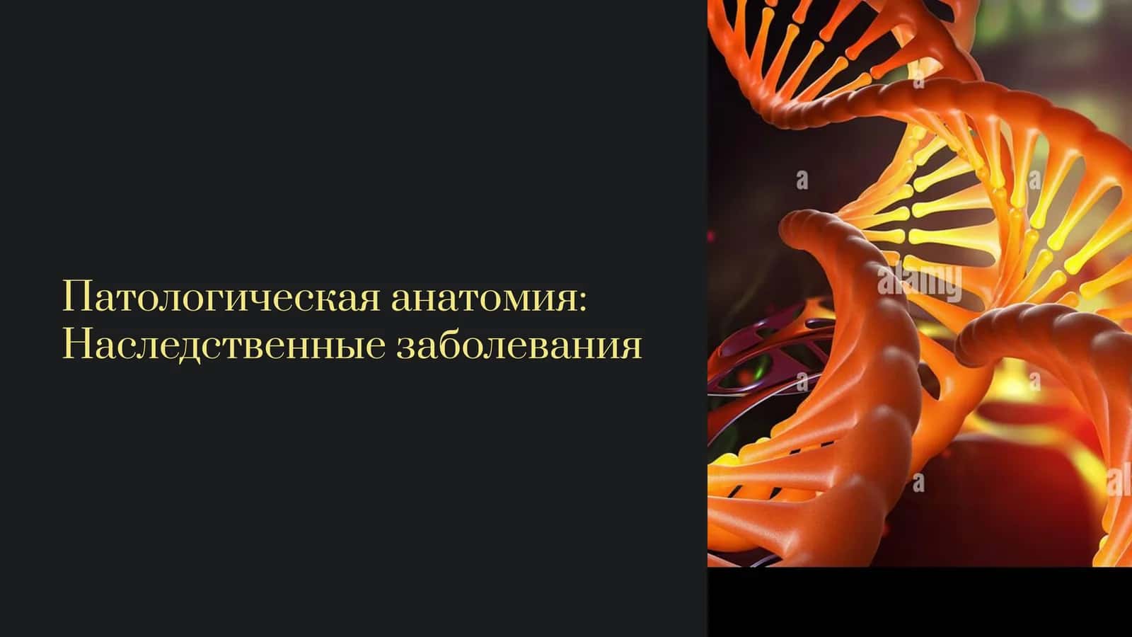 Патологическая анатомия: Наследственные заболевания 1