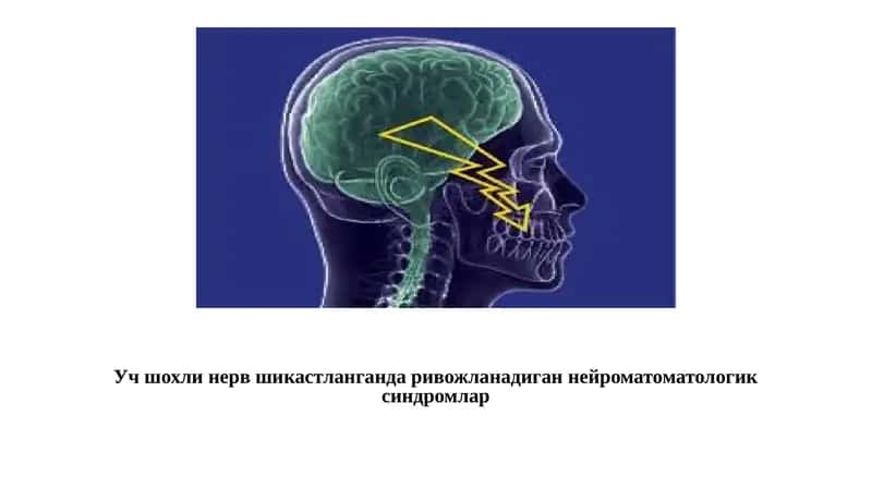 Учшохли нерв 1