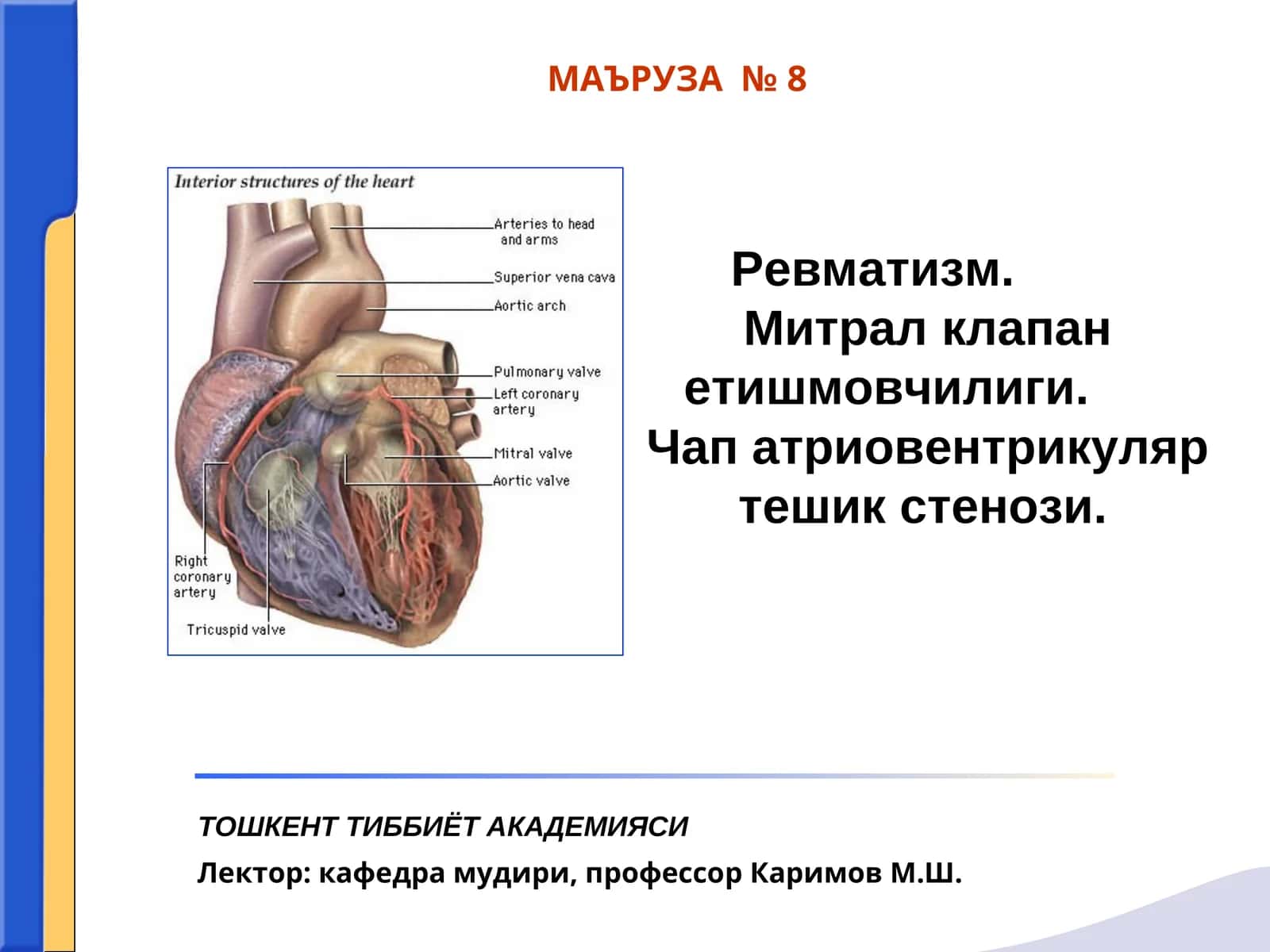 Ревматизм.Митрал клапан етишмовчилиги. Чап атриовентрикуляр тешик стенози 1