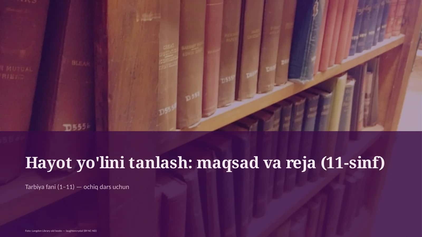 Hayot yo'lini tanlash: maqsad va reja (11-sinf) 1