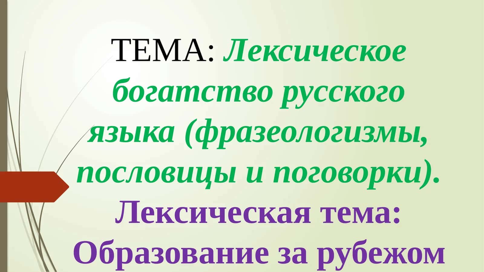 Лексическоебогатство русского языка (фразеологизмы, пословицы и поговорки) 1