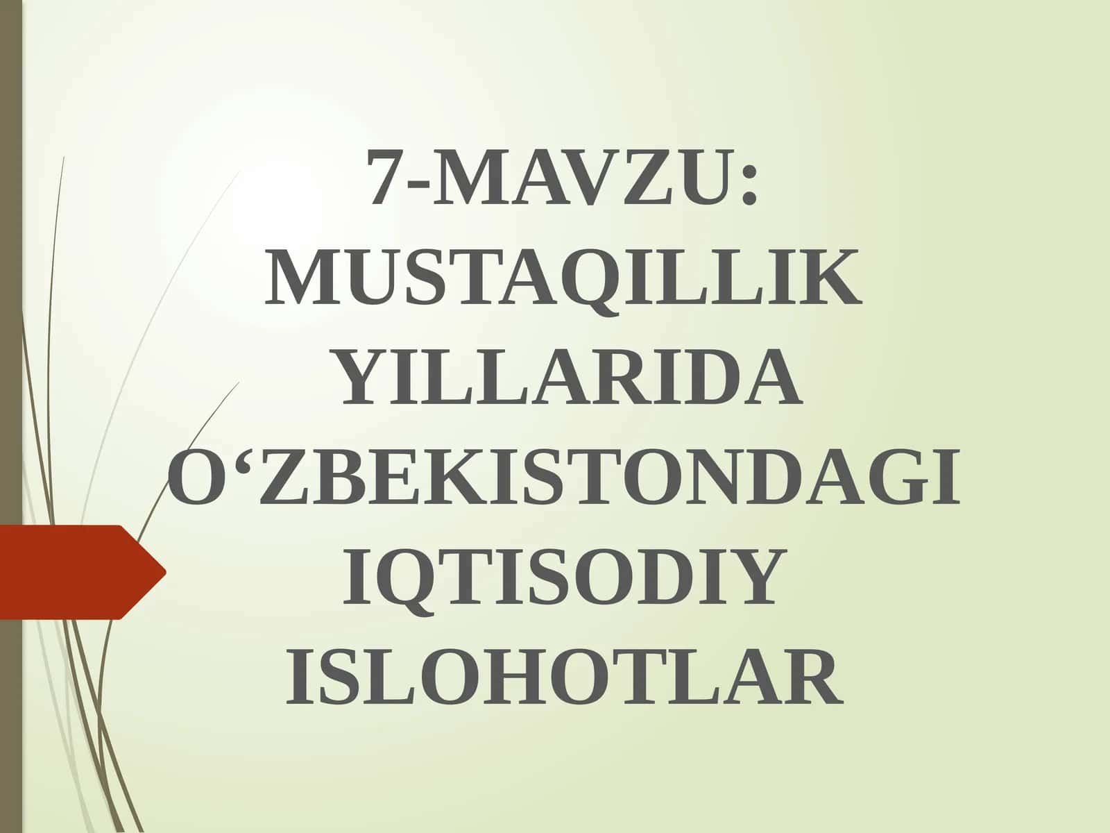 MUSTAQILLIK YILLARIDA O‘ZBEKISTONDAGI IQTISODIY ISLOHOTLAR 1