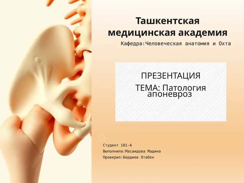 Патология апоневроз 1