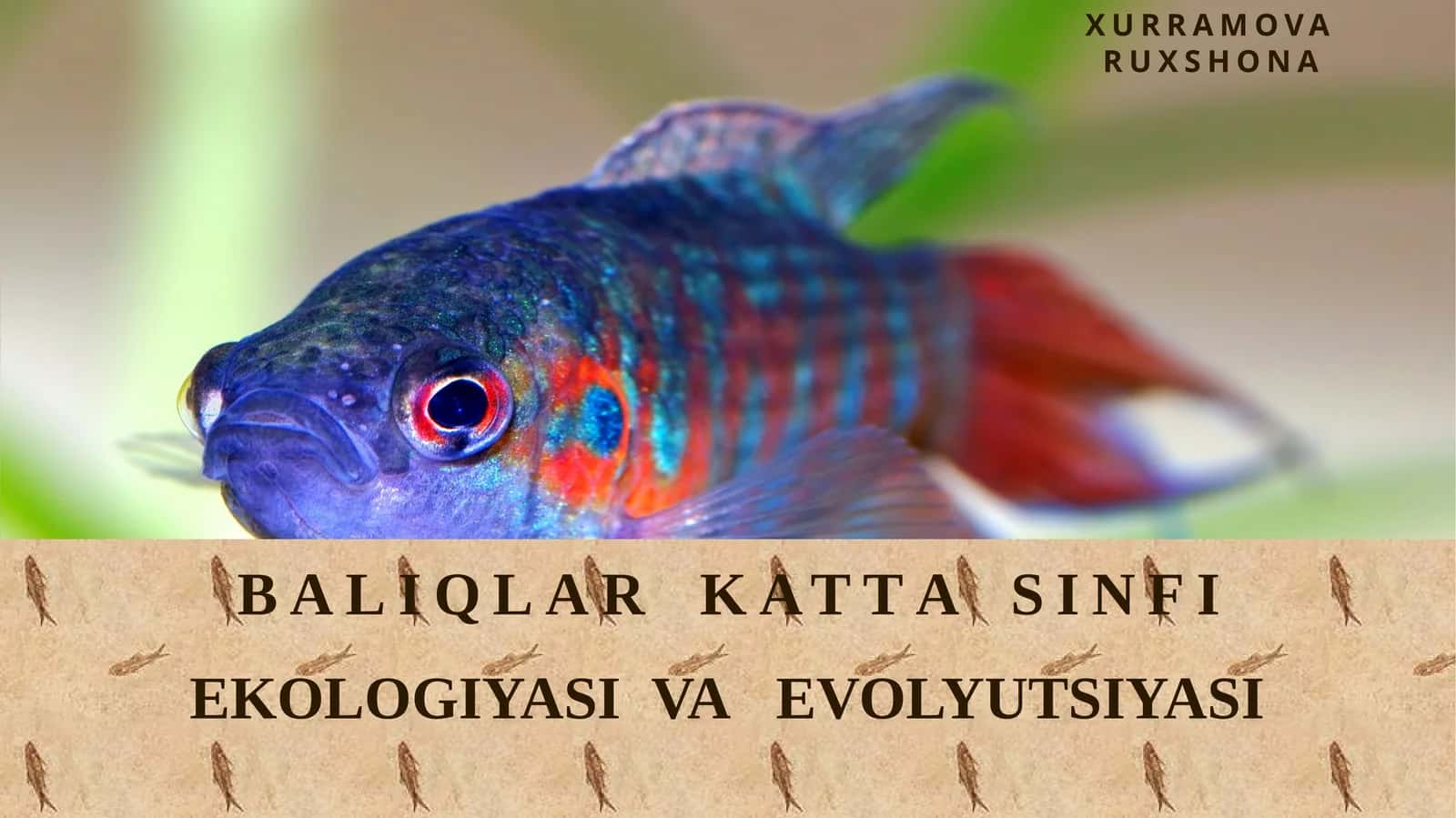BALIQLAR KATTASIN FI EKOLOGIYASI VA EVOLYUTSIYASI 1