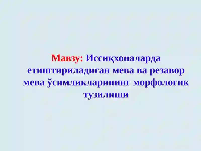 Цитруслардаги мева ва резавор мевалар