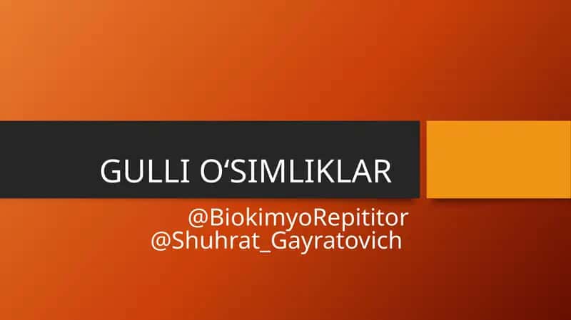 GULLI O‘SIMLIKLAR 1