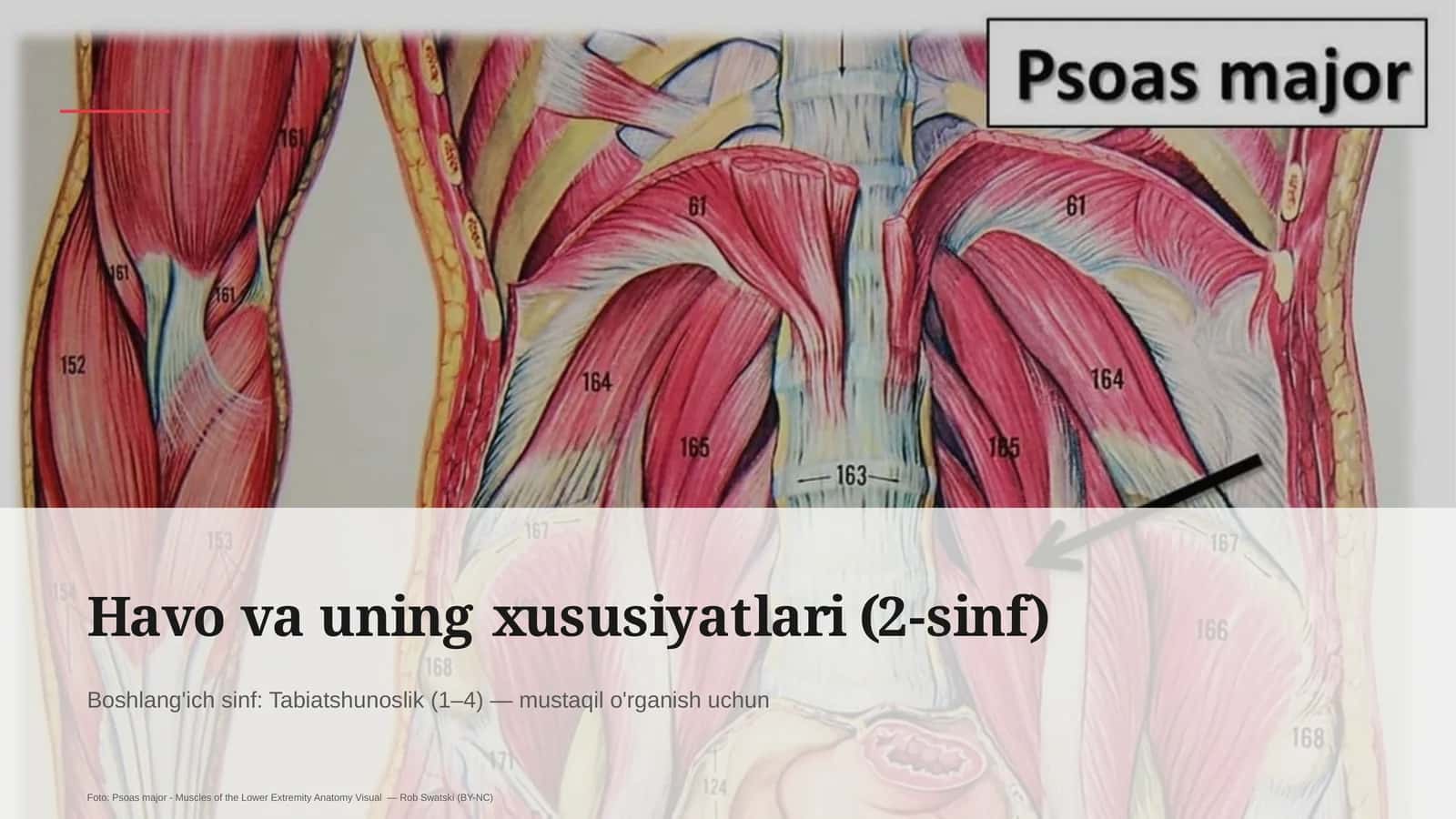 Havo va uning xususiyatlari (2-sinf) 1