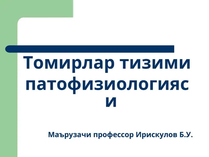Томирлар тизими 1