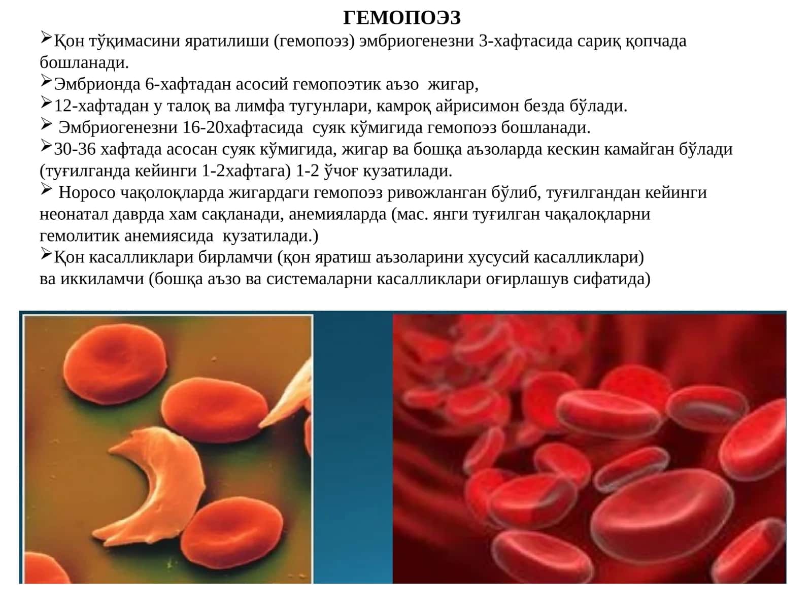 ГЕМОПОЭЗ 1