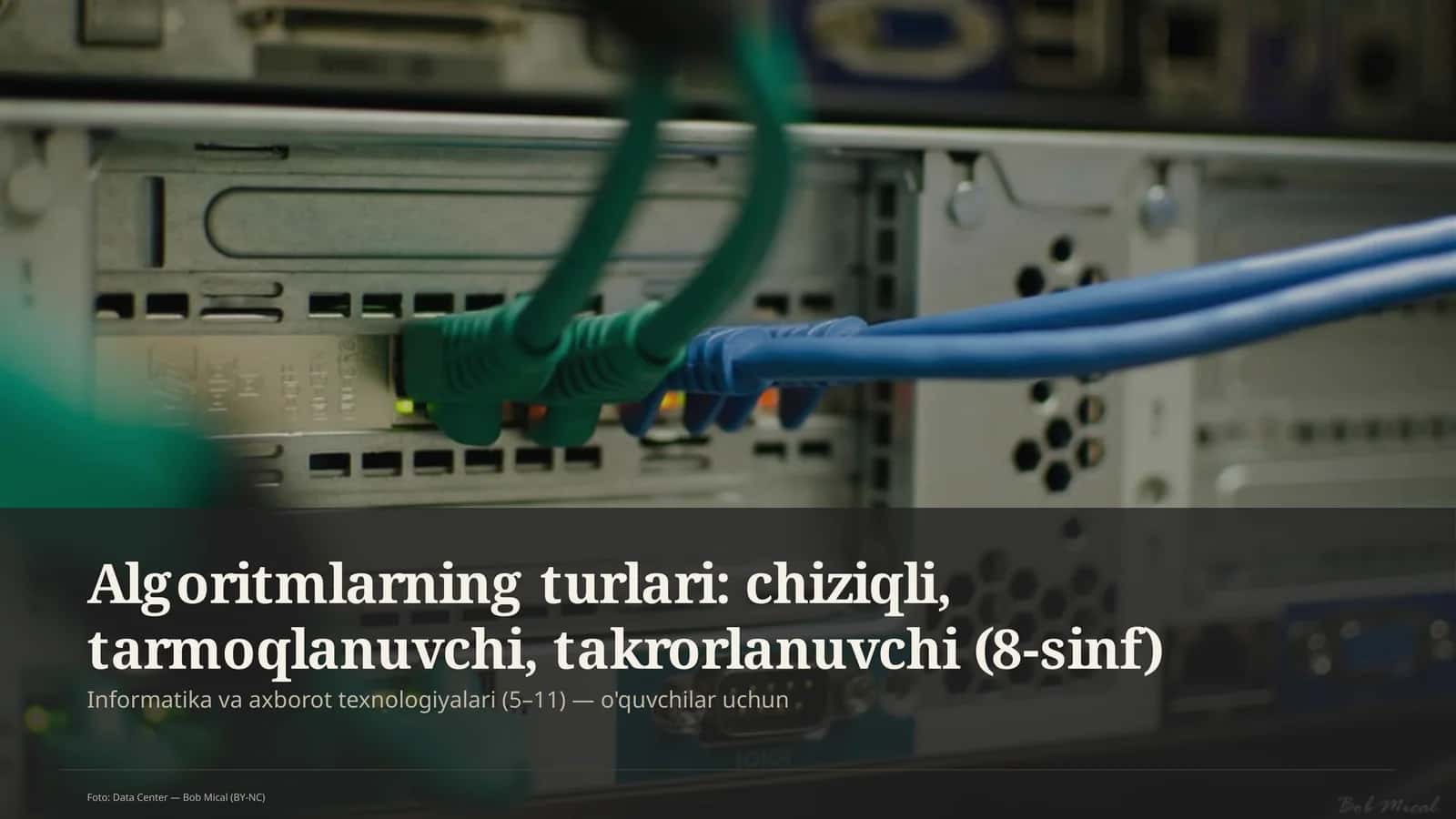 Algoritm turlari: chiziqli, tarmoqlanuvchi, takrorlanuvchi (8-sinf) 1