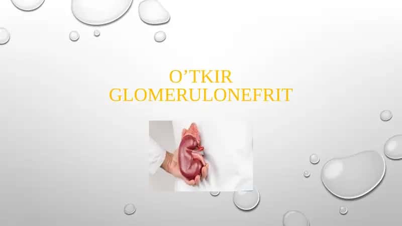 O’TKIR GLOMERULONEFRIT 1