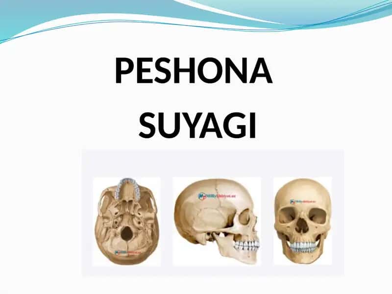 Peshona Suyagi 1