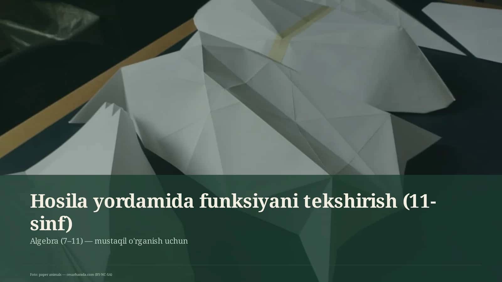 Hosila yordamida funksiyani tekshirish (11-sinf) 1