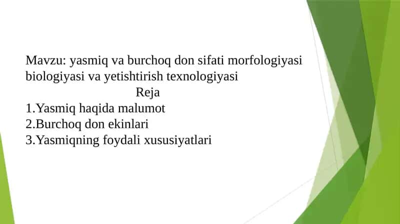 Yasmiq va burchoq don sifati morfologiyasi 1