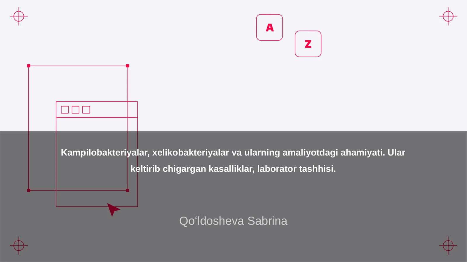 Kampilobakteriyalar va xelikobakteriyalar: umumiy ma'lumotlar 1