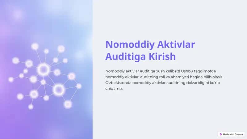 Nomoddiy Aktivlar Auditiga Kirish 1