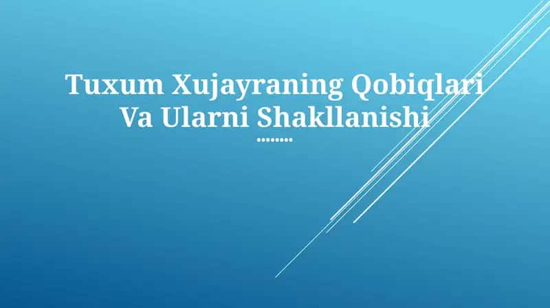 Tuxum Xujayraning Qobiqlari Va Ularni Shakllanishi 1