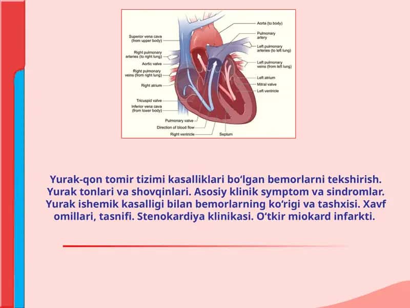 Yurak-qon tomir tizimi kasalliklari 1